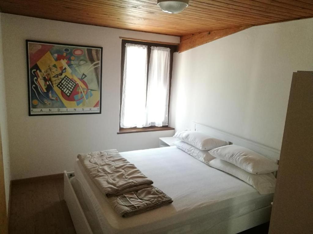 Casa Renzo - Dolomiti - Trentino Apartment Mezzano Exterior foto